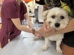 -美联众合动物医院·24h京西诊疗中心
