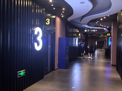 -卢米埃影城(住总万科杜比全景声激光店)