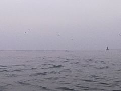 -日照灯塔风景区