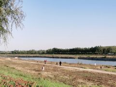 -潇河湿地公园