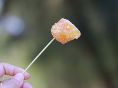 -普宁反沙番薯芋头