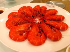 白灼九节虾-金河半岛园林酒家(金融城店)