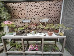 -陈家山荷花公园