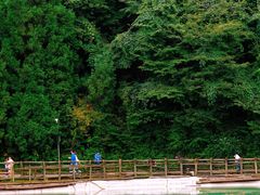 -武陵山森林公园