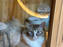 -白兔子密室(长寿路店)