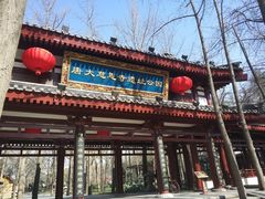 -大雁塔北广场音乐喷泉