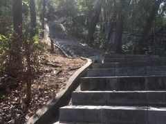 -火炉山森林公园