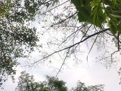 -偏岩古镇
