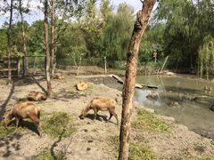 -溱湖国家湿地公园