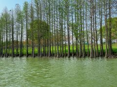 -苏州太湖国家湿地公园