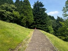 -神户市立六甲山牧场