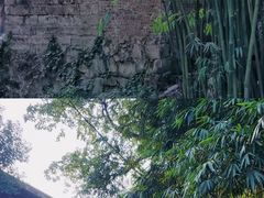 -春涛餐馆(下坝店)