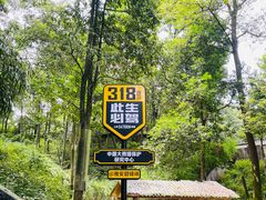 -中国大熊猫保护研究中心雅安碧峰峡基地