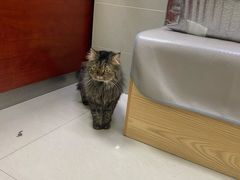 -艾贝尔宠物诊疗