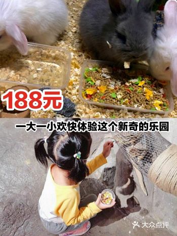 188元一大一小欢乐体验这个新奇的乐园