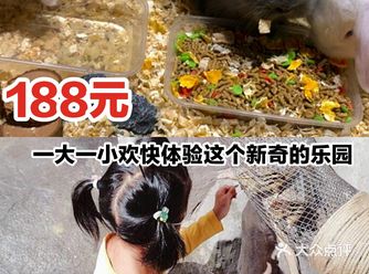 188元一大一小欢乐体验这个新奇的乐园