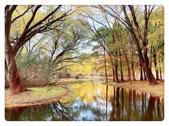 -上海共青森林公园