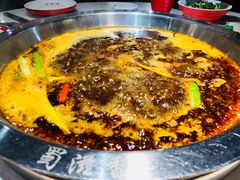 -蜀滋香鲜鱼美蛙火锅(339店)