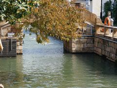 -麻雀咖啡SPARROW COFFEE(十全街店)