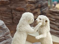 -陕西自然博物馆