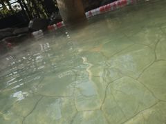 -张家港金凤凰度假村温泉