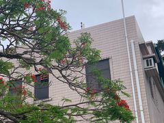 -南丫岛