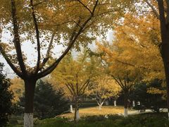 景点-昆山城市公园