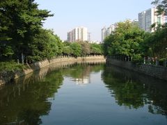 两岸遍绿-晓港公园