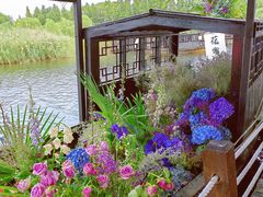 -苏州太湖湖滨国家湿地公园