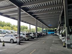 -上海植物园·停车场