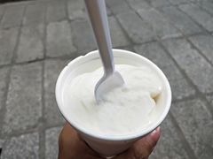 椰子雪糕-洪馨椰子