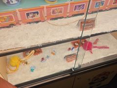 -海底捞火锅(长宁路龙之梦店)