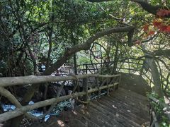 -亚婆田·白水寨生态旅游度假区