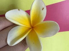 -金巴兰海滩烛光bbq