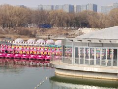 -大兴滨河森林公园