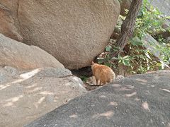 -天津盘山风景名胜区