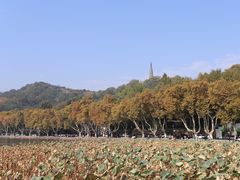 -北山街历史文化街区
