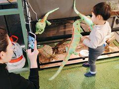 -FAIRYLAND龙族星球主题餐厅(凯丹广场店)