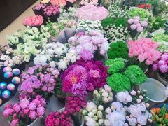 -双季花艺园艺市场(浦东店)