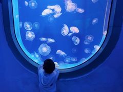 -福州罗源湾海洋世界旅游区