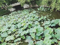 -水绘园