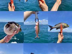-蓝湾碧波·老字号·疍家非遗海上餐厅