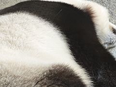 -宁波野生动物园