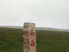 -空中草原