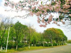 -杭州师范大学(下沙校区)