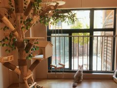 -唐小姐の私宠·宠物洗护美容·撸猫馆·购宠(周浦万达旗舰店)