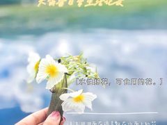 -丽江泸沽湖景区