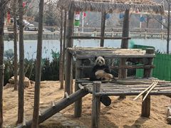 -西霞口神雕山野生动物世界