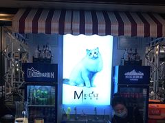 -猫先生时尚火锅(桂平路店)