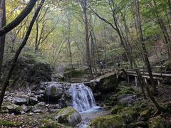 -牛背梁国家森林公园